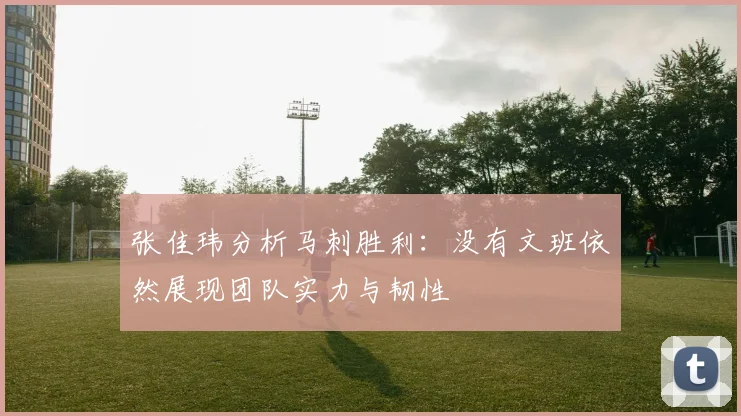 张佳玮分析马刺胜利：没有文班依然展现团队实力与韧性